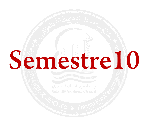 SEMESTRE 10