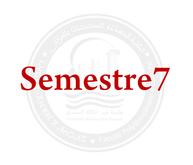 SEMESTRE 7