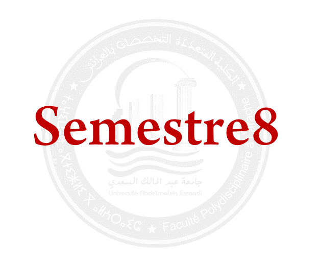 SEMESTRE 8