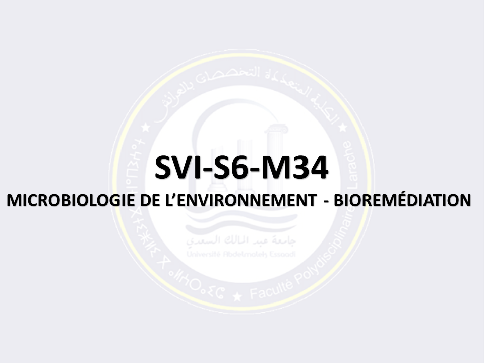 SVI-S6-M34: MICROBIOLOGIE DE L’ENVIRONNEMENT - BIOREMÉDIATION