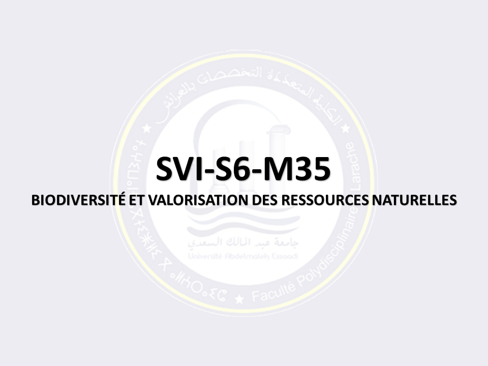 SVI-S6-M35: BIODIVERSITÉ ET VALORISATION DES RESSOURCES NATURELLES