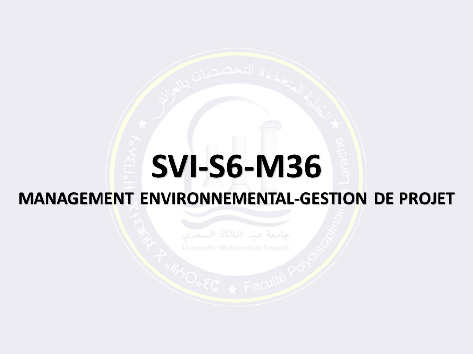 SVI-S6-M36: MANAGEMENT ENVIRONNEMENTAL-GESTION DE PROJET