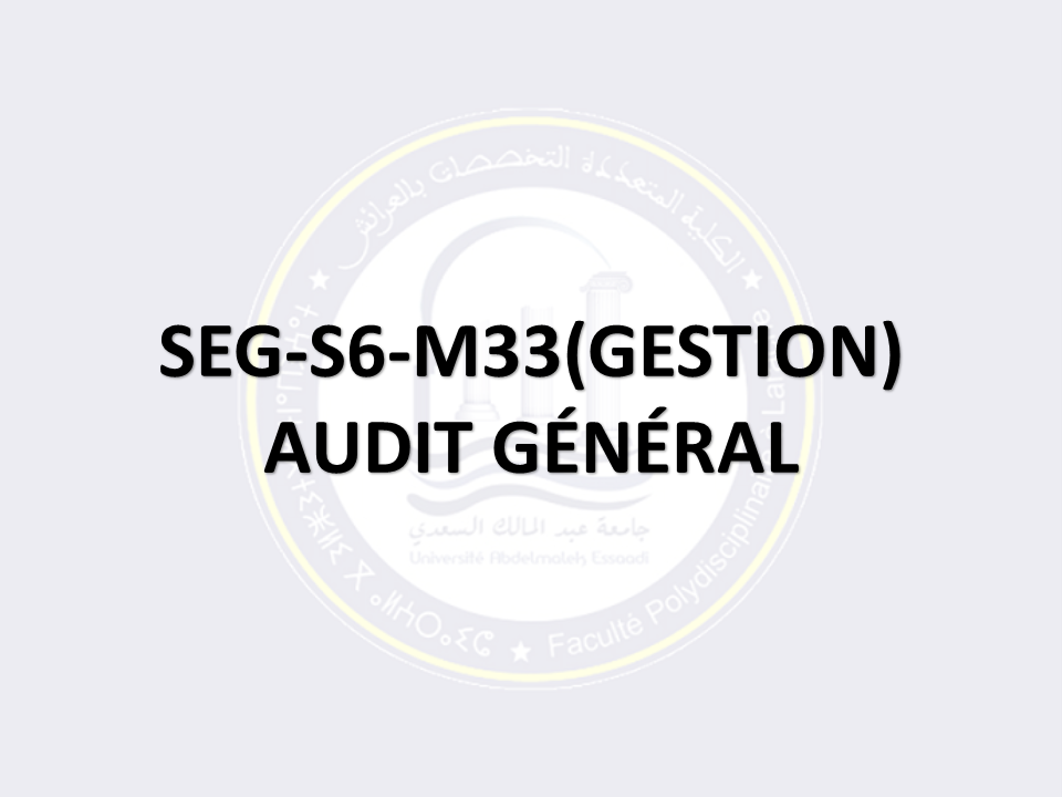 SEG-S6-M33: AUDIT GÉNÉRAL (PARCOURS GESTION)