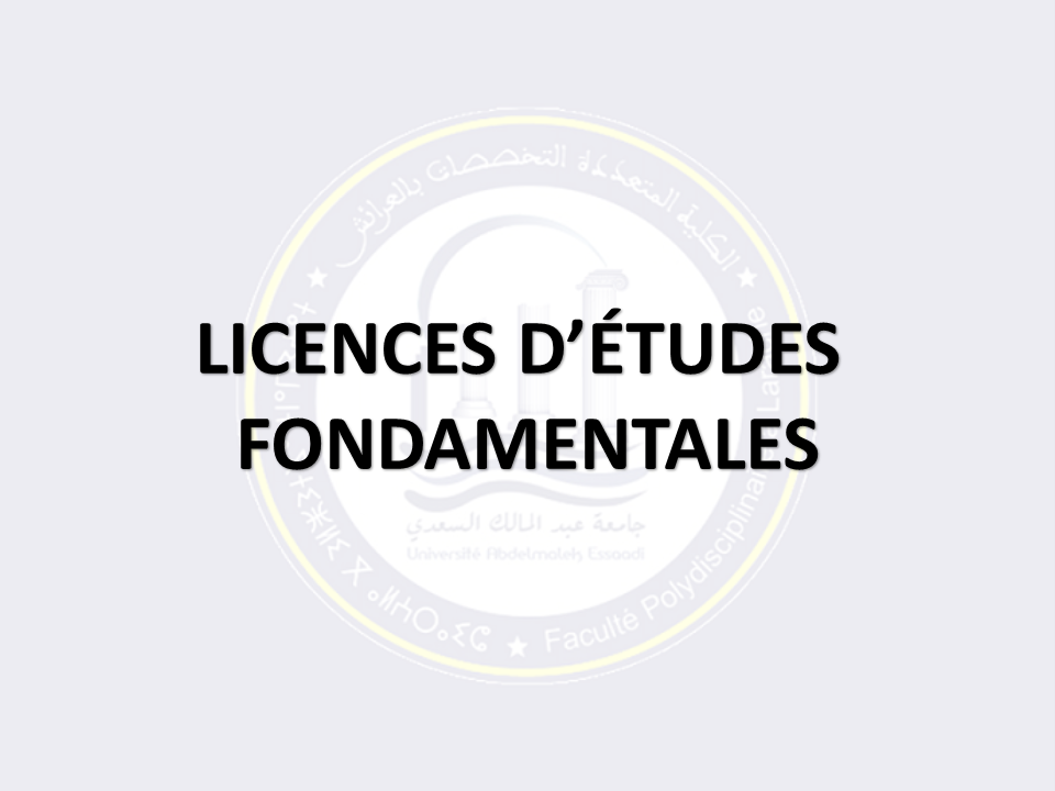 LICENCES ÉTUDES FONDAMENTALES