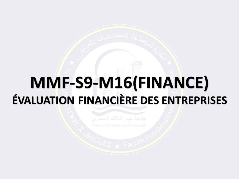 MMF-S9:F-M16: ÉVALUATION FINANCIÈRE DES ENTREPRISES