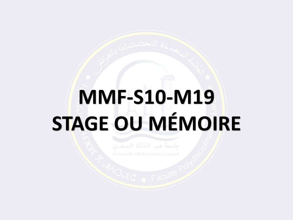 MMF-S10-M19: STAGE OU MÉMOIRE