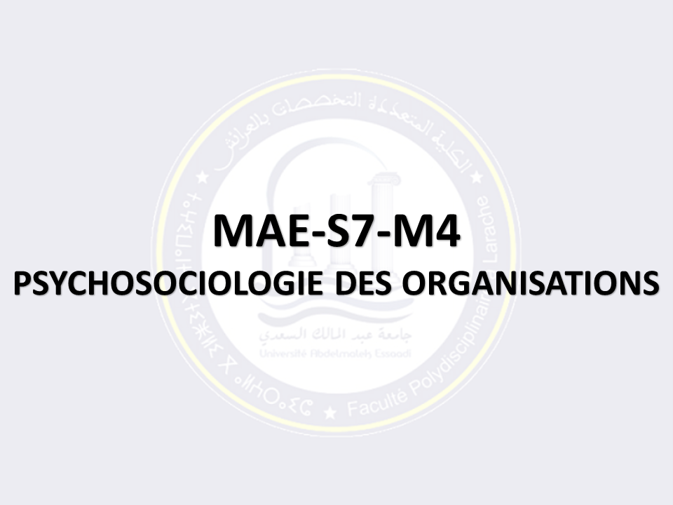 MAE-S7-M4: PSYCHOSOCIOLOGIE DES ORGANISATIONS