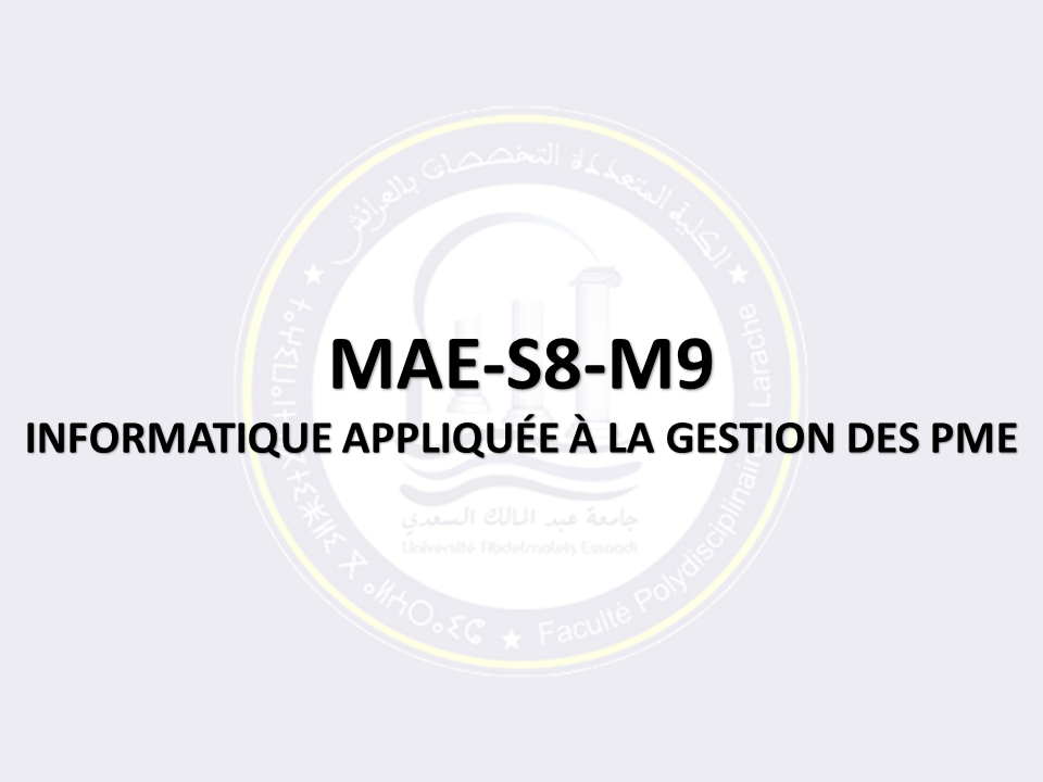 MAE-S8-M9: INFORMATIQUE APPLIQUÉE À LA GESTION DES PME