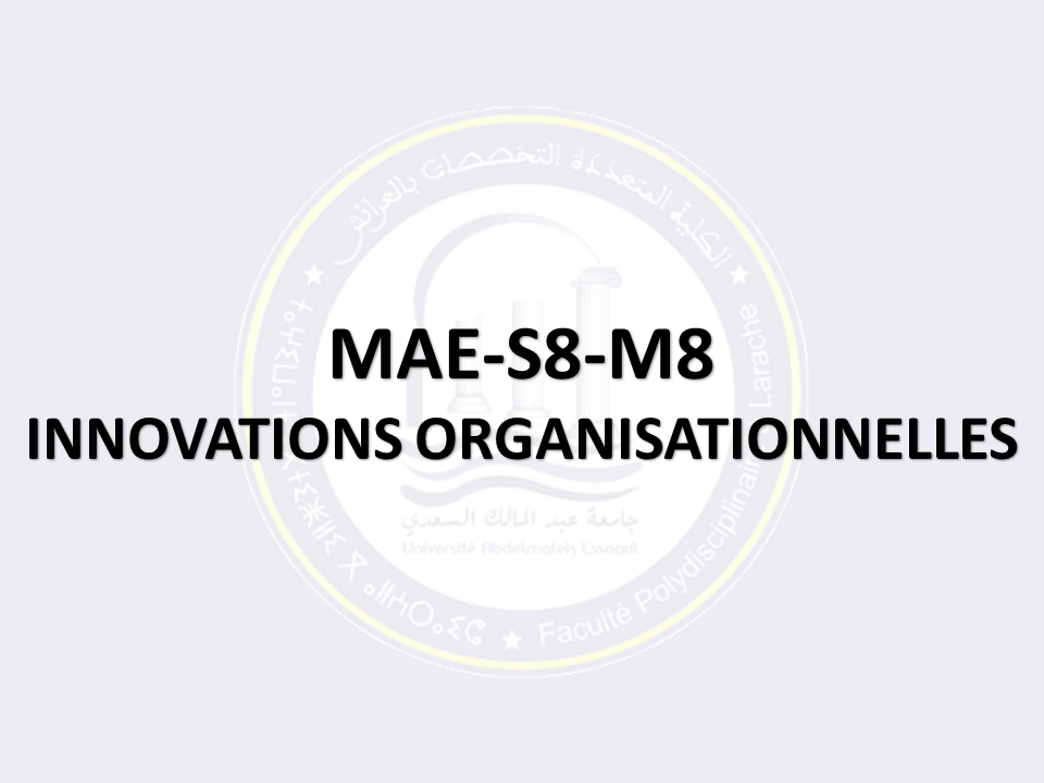 MAE-S8-M8: INNOVATIONS ORGANISATIONNELLES