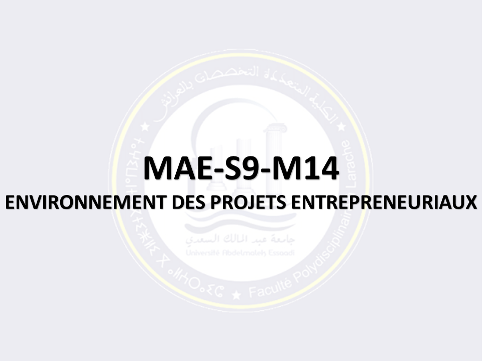 MAE-S9-M14: ENVIRONNEMENT DES PROJETS ENTREPRENEURIAUX