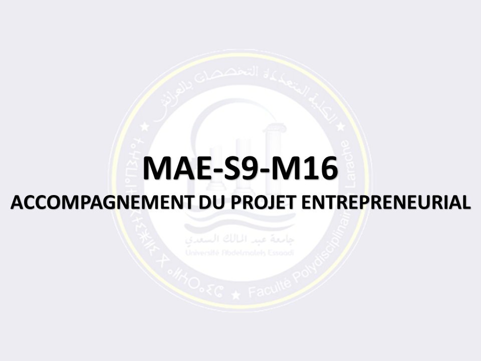 MAE-S9-M16: ACCOMPAGNEMENT DU PROJET ENTREPRENEURIAL