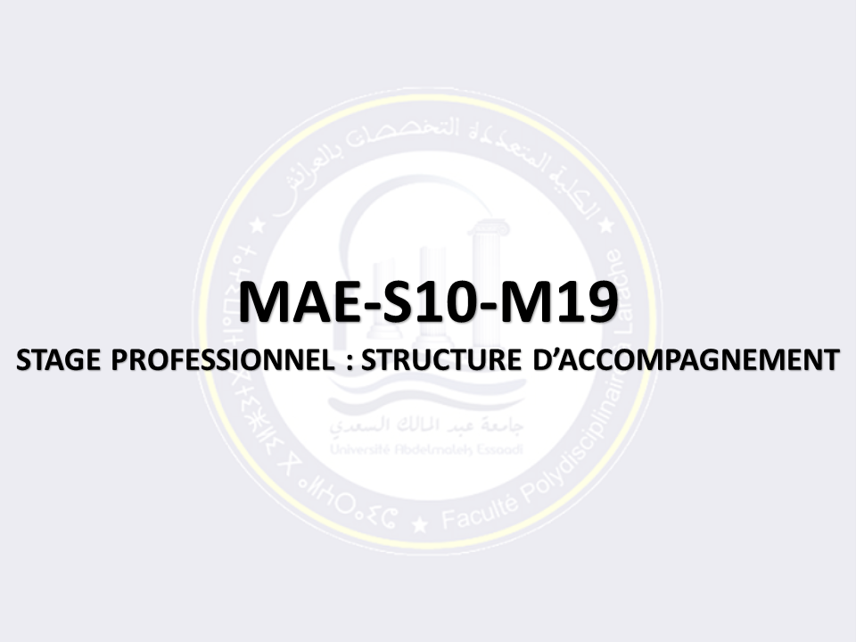 MAE-S10-M19: STAGE PROFESSIONNEL : STRUCTURE D’ACCOMPAGNEMENT
