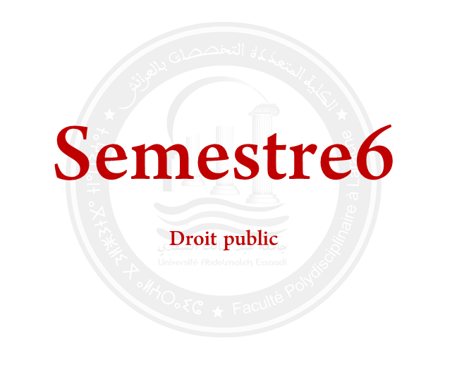 SEMESTRE 6: DROIT PUBLIC