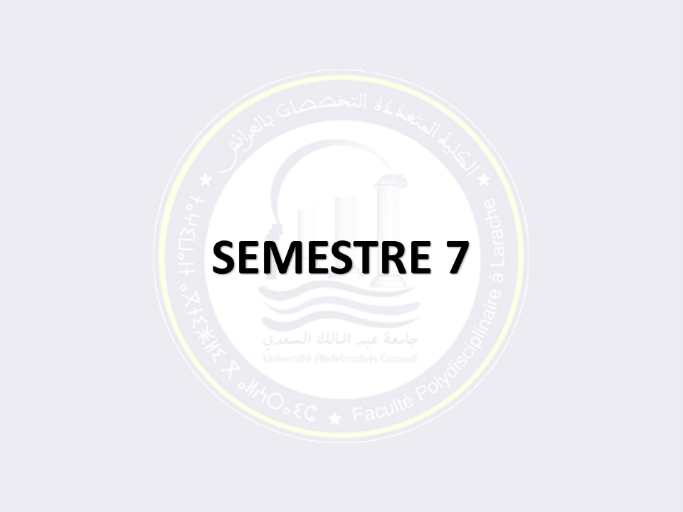 SEMESTRE 7