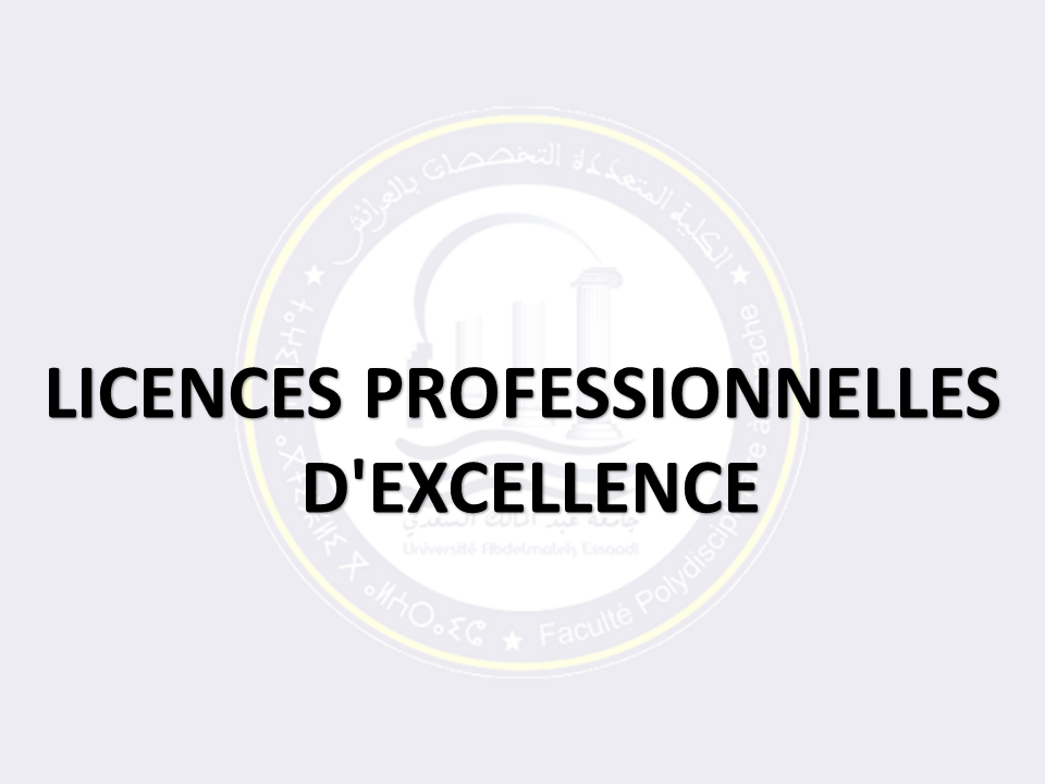 LICENCES PROFESSIONNELLE D'EXCELLENCE