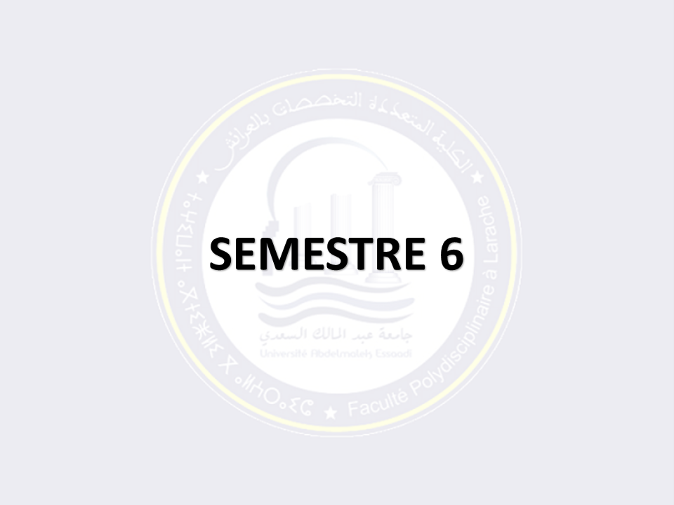 SEMESTRE 6