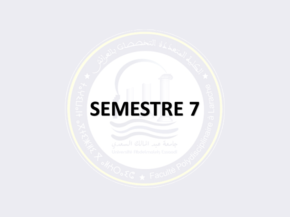 SEMESTRE 7
