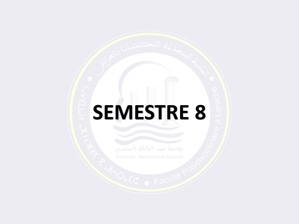 SEMESTRE 8