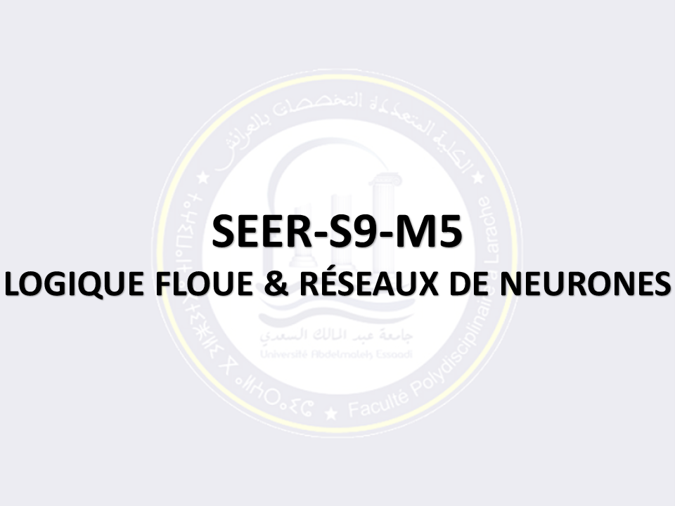 SEER-S9-M5: LOGIQUE FLOUE & RÉSEAUX DE NEURONES