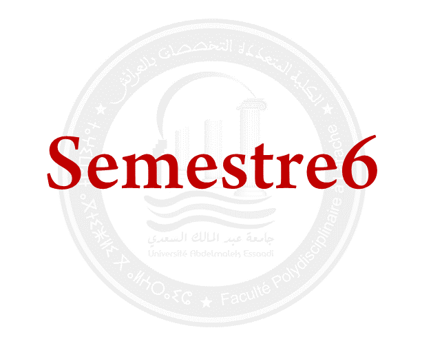 SEMESTRE 6